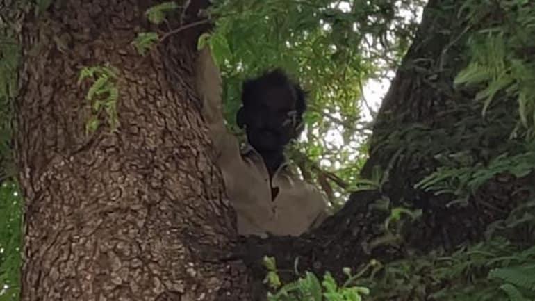 Trốn tiêm vaccine Covid-19, người đàn ông Ấn Độ trèo lên cây