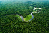 Vì sao sông Amazon dài gần 7.000km nhưng không có cây cầu nào?