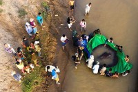 Ngư dân Campuchia bắt được cá khổng lồ nặng gần 300kg