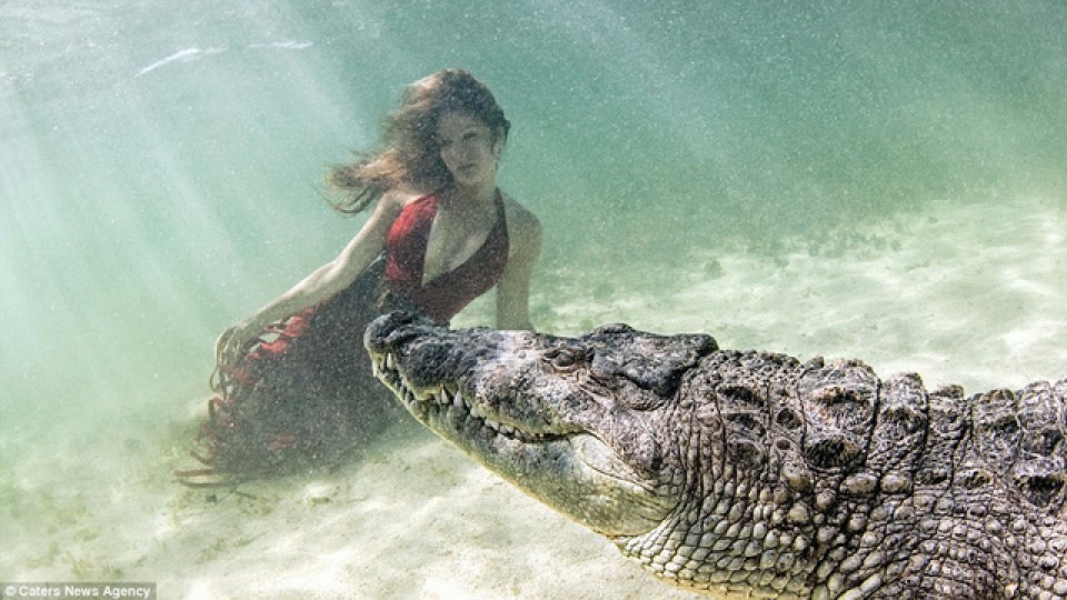 Con cá sấu giết, ăn thịt 300 người, khiếp sợ nhất thế giới