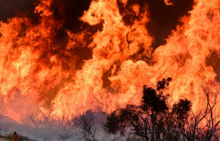 Mỹ: Cháy rừng nghiêm trọng làm 5 người chết