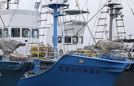 Nhật Bản nối lại đánh bắt cá voi sau 31 năm