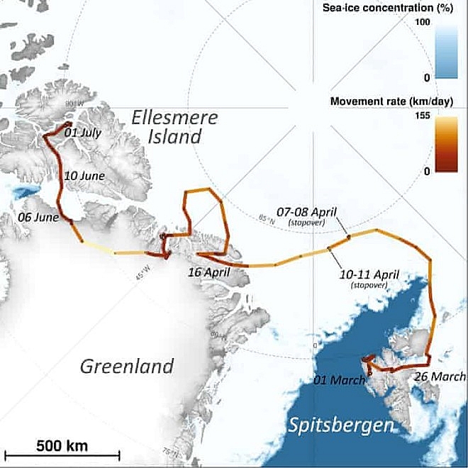 con cao bac cuc di bo 3500 km tu na uy den canada