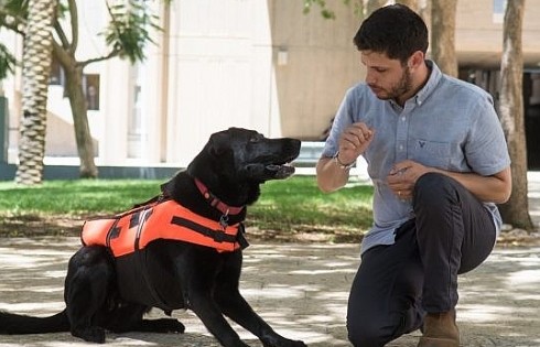 Áo khoác thông minh giúp chó cứu hộ tiếp nhận mệnh lệnh từ xa