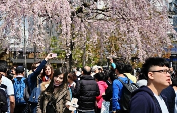 Lượng khách Hàn Quốc đặt tour du lịch Nhật Bản giảm 50%