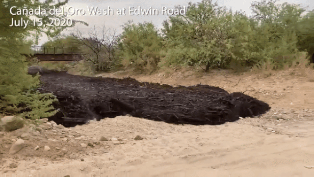 Mỹ: Hoảng hồn với video ghi cảnh lũ bùn đen đặc quánh chảy tràn xuống đường