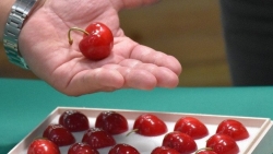 Trái cây siêu đắt đỏ: Hộp cherry thượng hạng của Nhật Bản có giá gần 100 triệu đồng