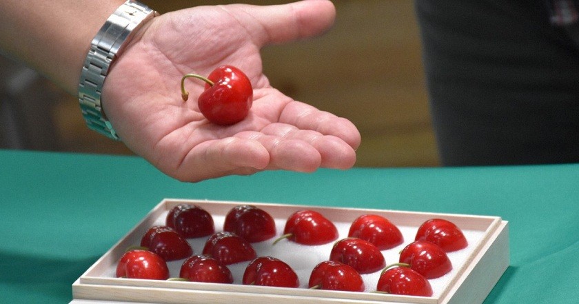 Trái cây siêu đắt đỏ: Hộp cherry có giá gần 100 triệu đồng
