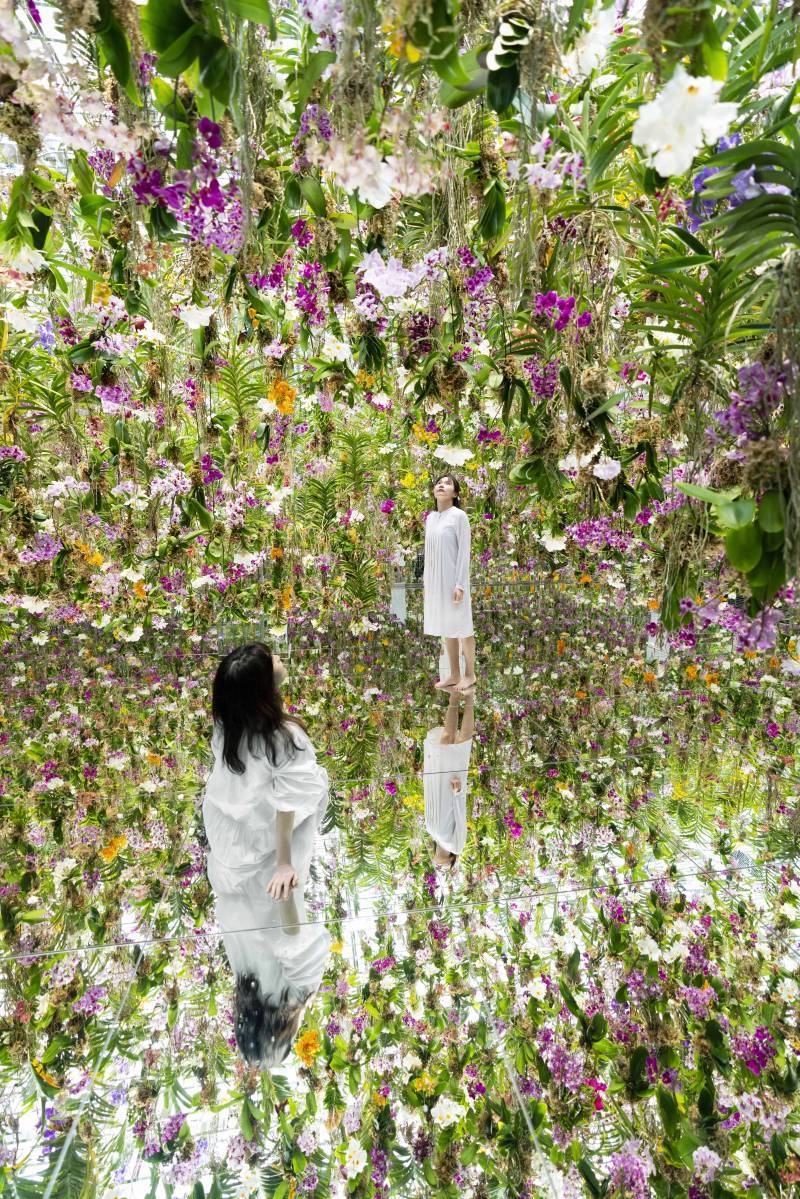 Du khách hoà mình vào không gian bốn bề là hoa. Những khối hoa được treo lơ lửng trên đầu du khách và liên tục di chuyển lên xuống, tạo ra hiệu ứng hình ảnh ấn tượng.