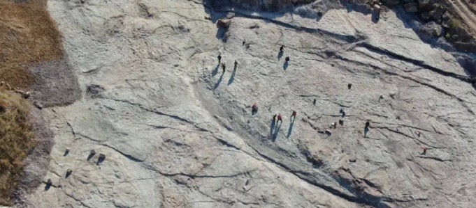 dấu chân khủng long 150 triệu năm tuổi