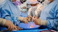 Mỹ: Cấy ghép thành công hai quả tim lợn biến đổi gene cho hai người chết não