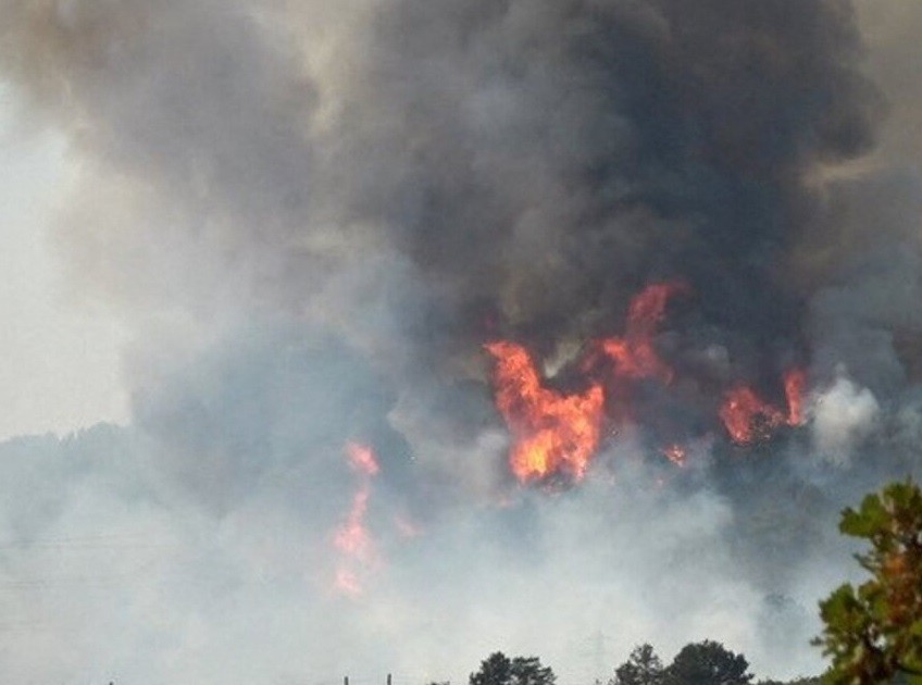 Hy Lạp, Italy nỗ lực dập cháy rừng lan rộng do nhiệt độ tăng cao