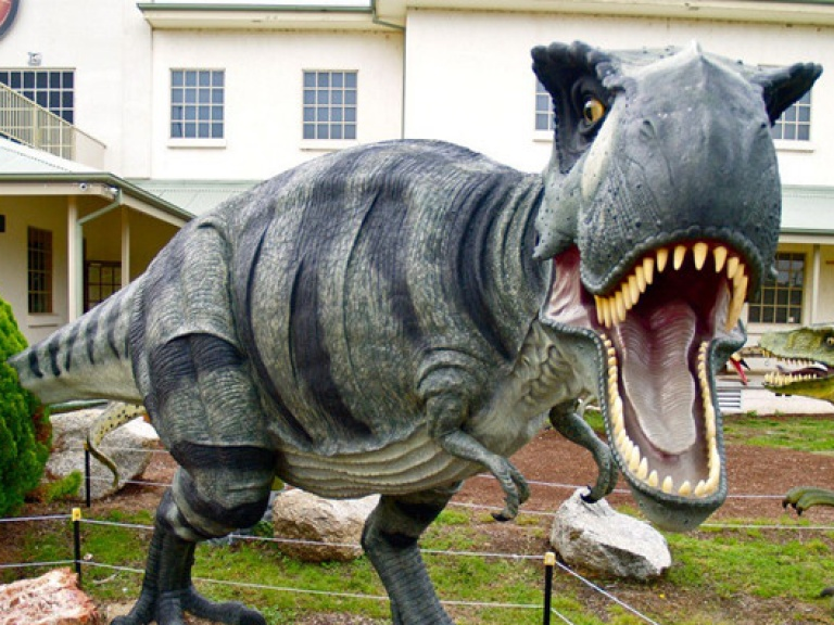 Australia: Mô hình khủng long tại bảo tàng bị trộm "chặt đầu"