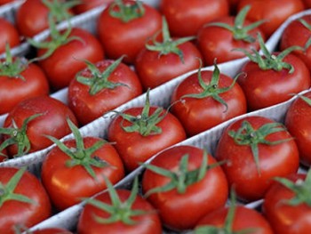 Thổ Nhĩ Kỳ thiệt hại gần 2 tỷ USD vì không thể xuất khẩu cà chua sang Nga