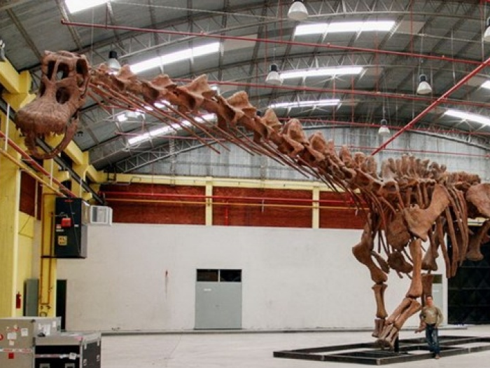 Phát hiện loài khủng long lớn gấp 12 lần voi châu Phi