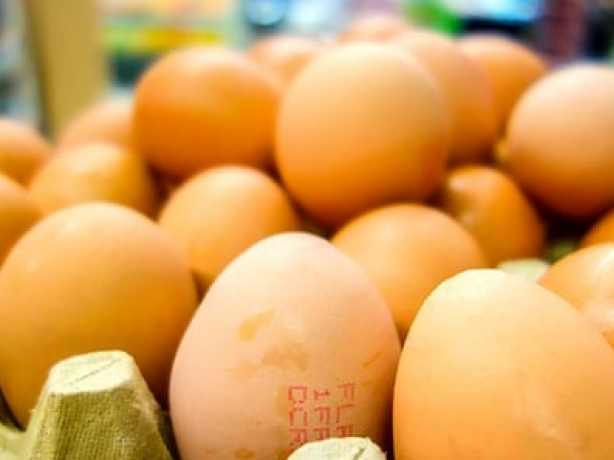 Nông dân Hà Lan chật vật với bê bối trứng "bẩn"