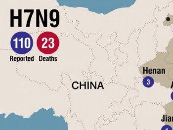 Trung Quốc phát hiện một trường hợp tử vong vì cúm gia cầm H7N9
