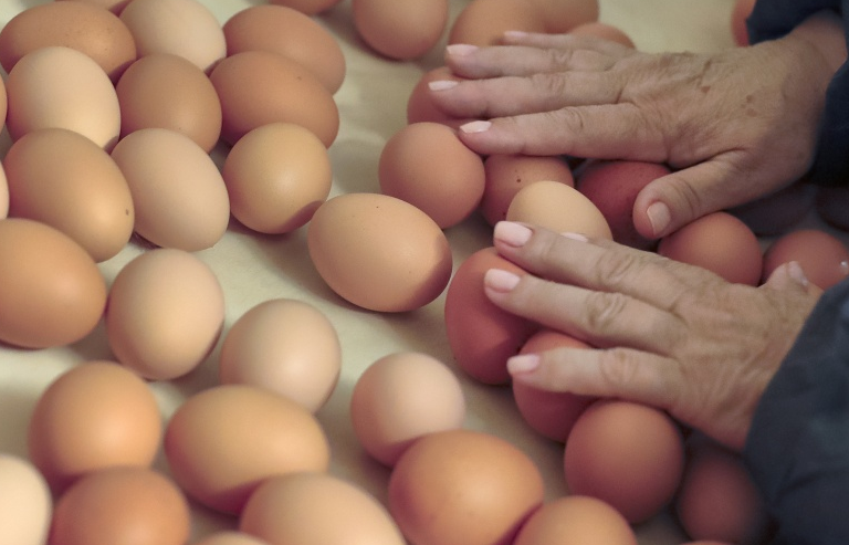 Bê bối "trứng bẩn" tại châu Âu tiếp tục lan rộng ra ngoài khu vực