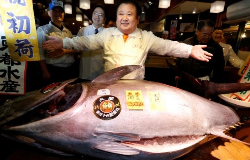 Nhật Bản: Chợ đấu giá cá ngừ nổi tiếng "điêu đứng" vì nắng nóng