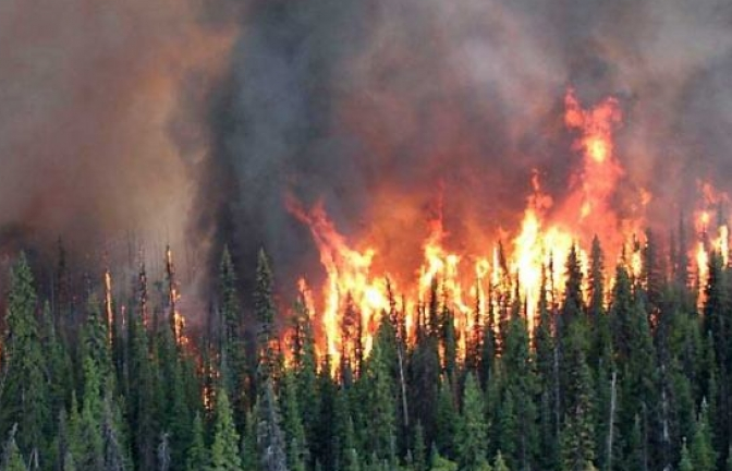 Canada ban bố tình trạng khẩn cấp vì cháy rừng lan rộng