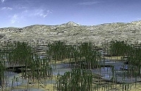 Trung Quốc phát hiện khu rừng hóa thạch 419 triệu năm tuổi