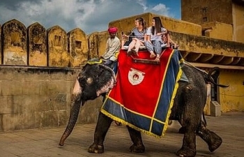 Nhóm hoạt động Ấn Độ kêu gọi du khách ngưng hoạt động du lịch cưỡi voi