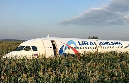 Nga: Máy bay hạ cánh bằng bụng xuống cánh đồng vì chim lao vào động cơ