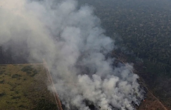 Liên hợp quốc bày tỏ lo ngại sâu sắc về cháy rừng Amazon