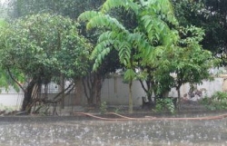 Dự báo thời tiết đêm nay và ngày mai (1-2/8): Cả nước trời nhiều mây và có mưa; cảnh báo mưa dông trên khu vực nội thành Hà Nội