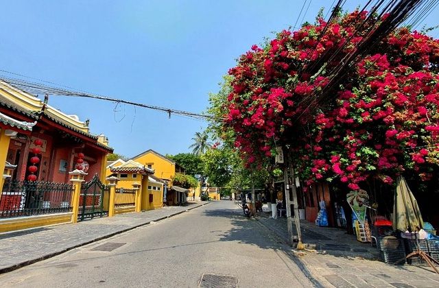 pho co hoi an diu hiu giua luc dich bung phat