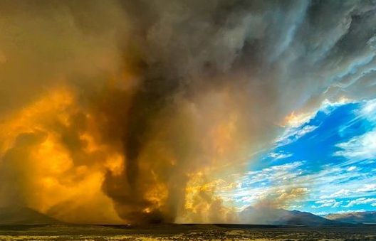 Mỹ điều tra việc vòi rồng lửa siêu hiếm xuất hiện trong trận cháy rừng ở Bắc California