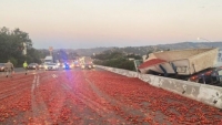Mỹ: Tài xế xe tải làm đổ 150.000 quả cà chua trên đường cao tốc