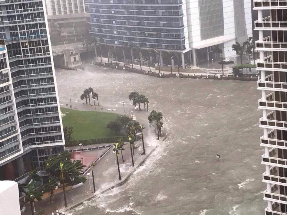 Người Việt ở Florida tranh thủ bão Irma để "nghỉ ngơi"