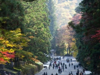 10 địa danh ngắm lá vàng mùa Thu tuyệt đẹp ở Nhật Bản