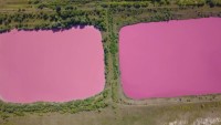 Hồ nước màu hồng gây xôn xao nước Nga