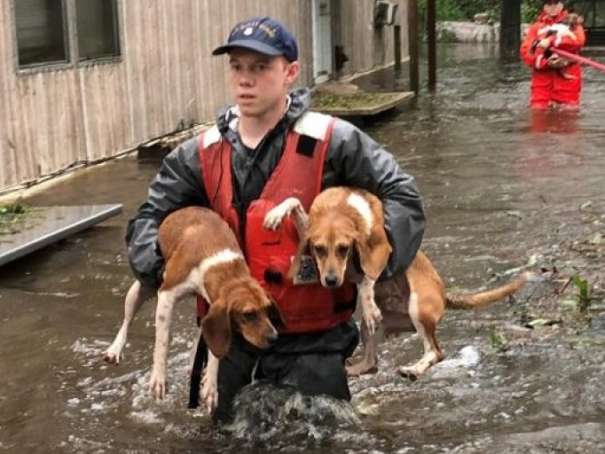 Mỹ: Giải cứu hàng loạt thú cưng trong lũ do bão Florence