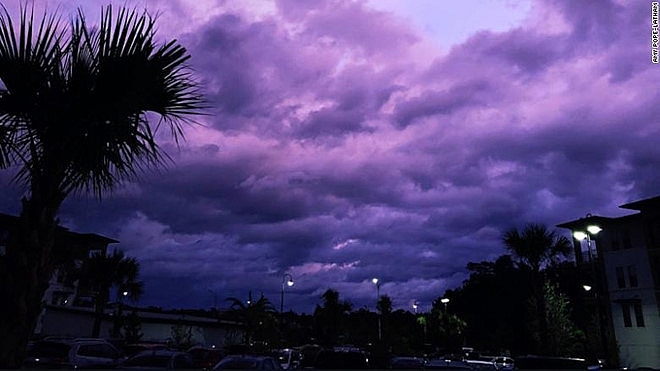 Florida màu tím huyền ảo sẽ đưa bạn đến một thế giới màu sắc chưa từng có. Những bức ảnh tuyệt đẹp về Florida khiến cho cảm giác mê hoặc và như đắm say trong một vòng xoáy màu tím huyền ảo, nơi mà bạn có thể quên đi hết những lo toan trong đời.