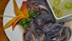Thưởng thức đặc sản Tamilok của Philippines thuộc Top món ăn kinh dị nhất thế giới