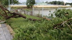 Tin tức bão mới nhất: Ảnh hưởng bão số 5, Hà Nội mưa to; cảnh báo mưa dông, gió giật mạnh và sóng lớn trên biển