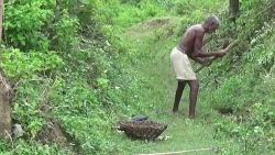 Ấn Độ: Người đàn ông dành 30 năm tự đào kênh dẫn nước về làng