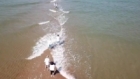 Trung Quốc: Bãi cát hình xương cá xuất hiện 2 giờ/ngày khi thủy triều xuống