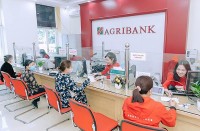 Agribank tiếp sức vốn rẻ, giúp doanh nghiệp nông nghiệp vững vàng 'vượt bão'
