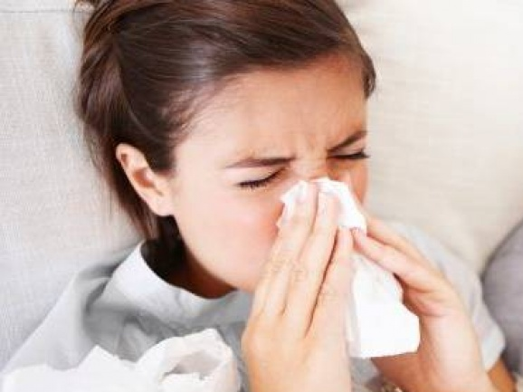 Dịch cúm lây lan mạnh tại Australia