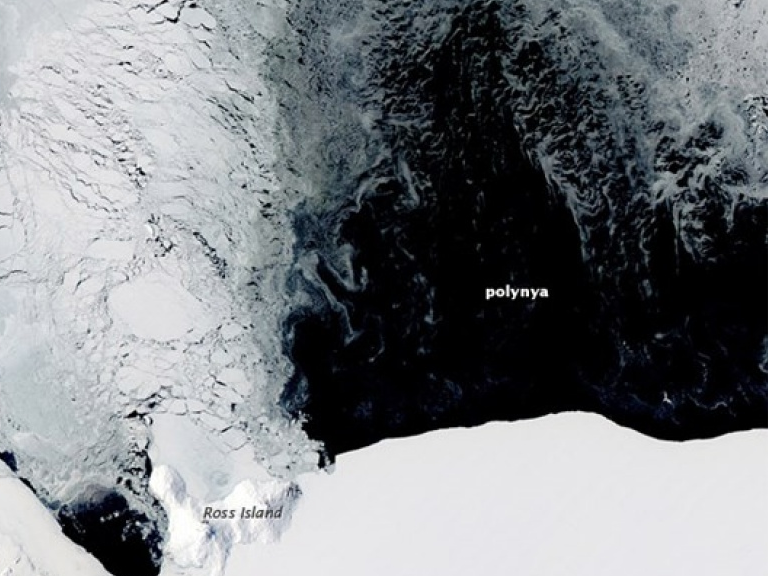 Tranh cãi xung quanh lỗ hổng "polynie" khổng lồ ở Nam Cực