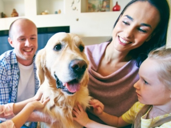 Phát hiện thêm lợi ích của việc nuôi chó trong gia đình