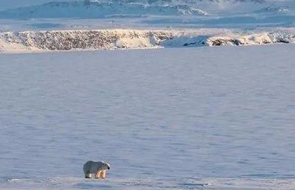 Nga bất ngờ phát hiện 5 hòn đảo mới ở Bắc Cực nhờ băng tan