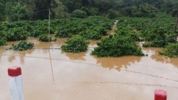 Dự báo thời tiết đêm nay và ngày mai (6-7/10): Trung Bộ, Tây Nguyên và Nam Bộ nhiều mây, mưa to đến rất to; Bắc Bộ trưa chiều hửng nắng