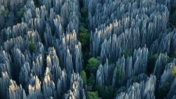 Khám phá rừng Tsingy - rừng đá sắc như lưỡi dao, hiểm trở bậc nhất thế giới