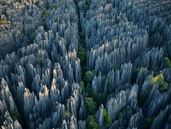Khám phá rừng Tsingy - rừng đá sắc như lưỡi dao, hiểm trở bậc nhất thế giới
