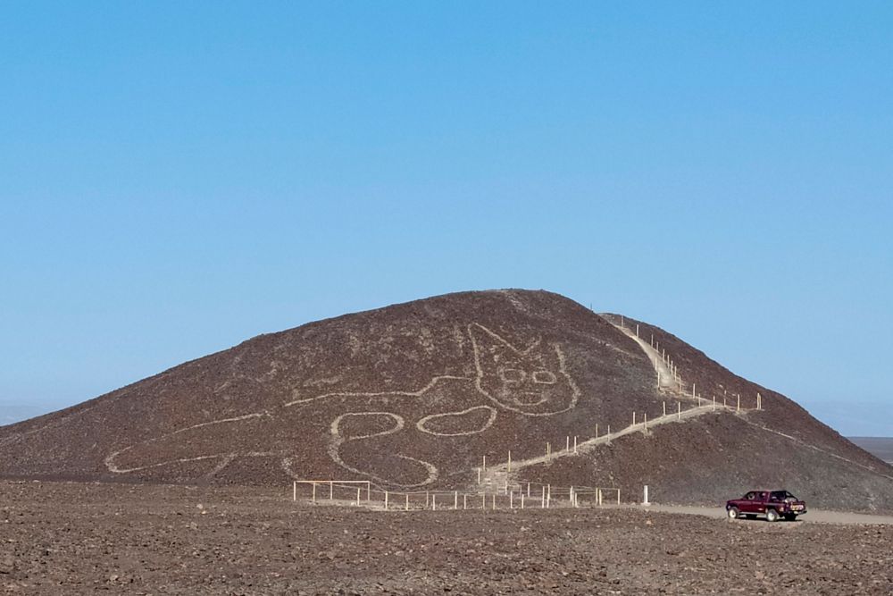 Peru: Phát hiện hình khắc con mèo khổng lồ tại Di sản thế giới Nazca